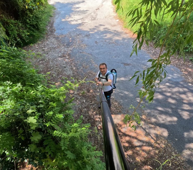 BeeZen en action sur un nid de frelons asiatiques dans un nid sous toiture